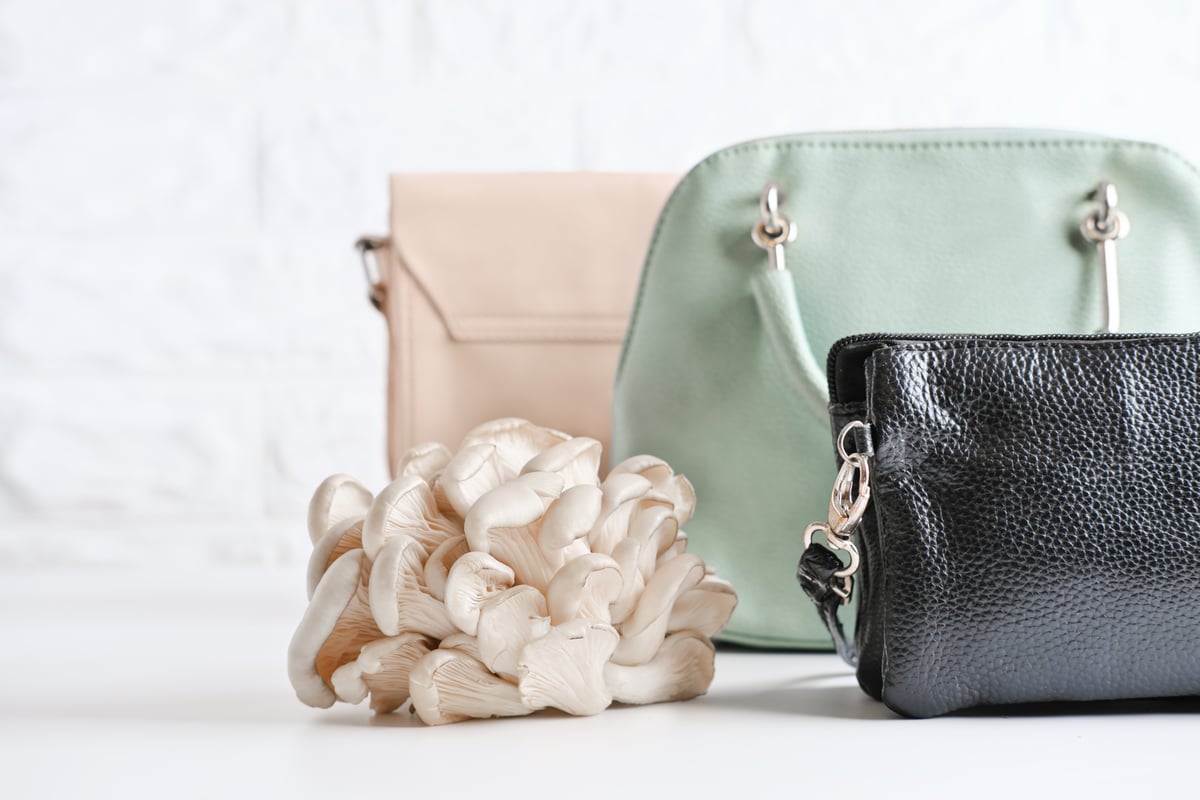 handbags made from mushroom leather